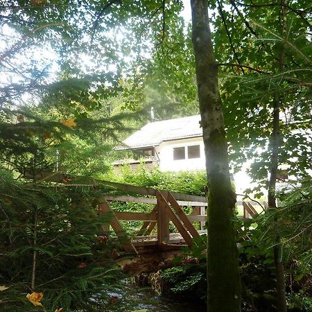 Apartment Schwarzwald Total Freudenstadt Ruang foto