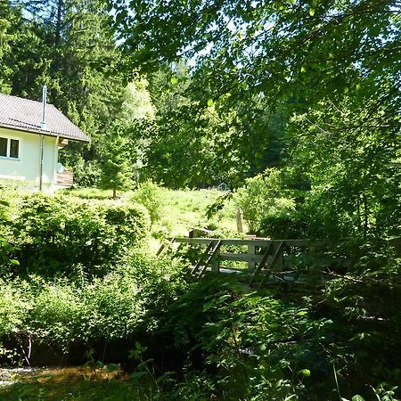 Apartment Schwarzwald Total Freudenstadt Bagian luar foto